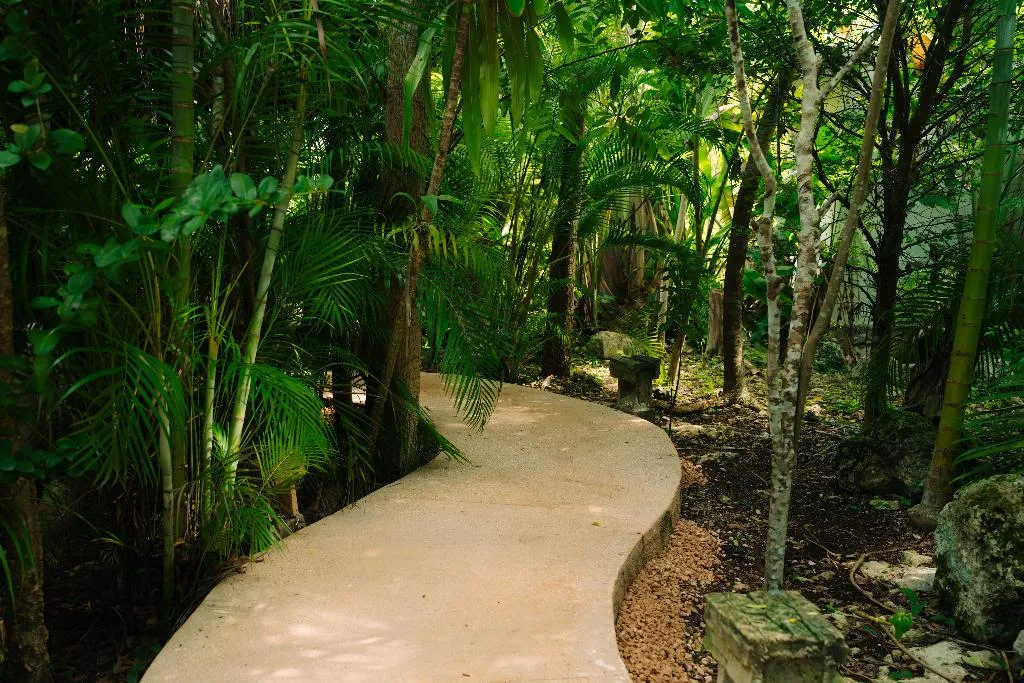 General view, Aldea Coba an Escape Experience, Cancun Area