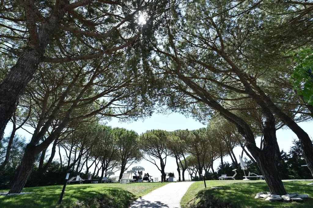 Terrace, Maracaibo, Venice