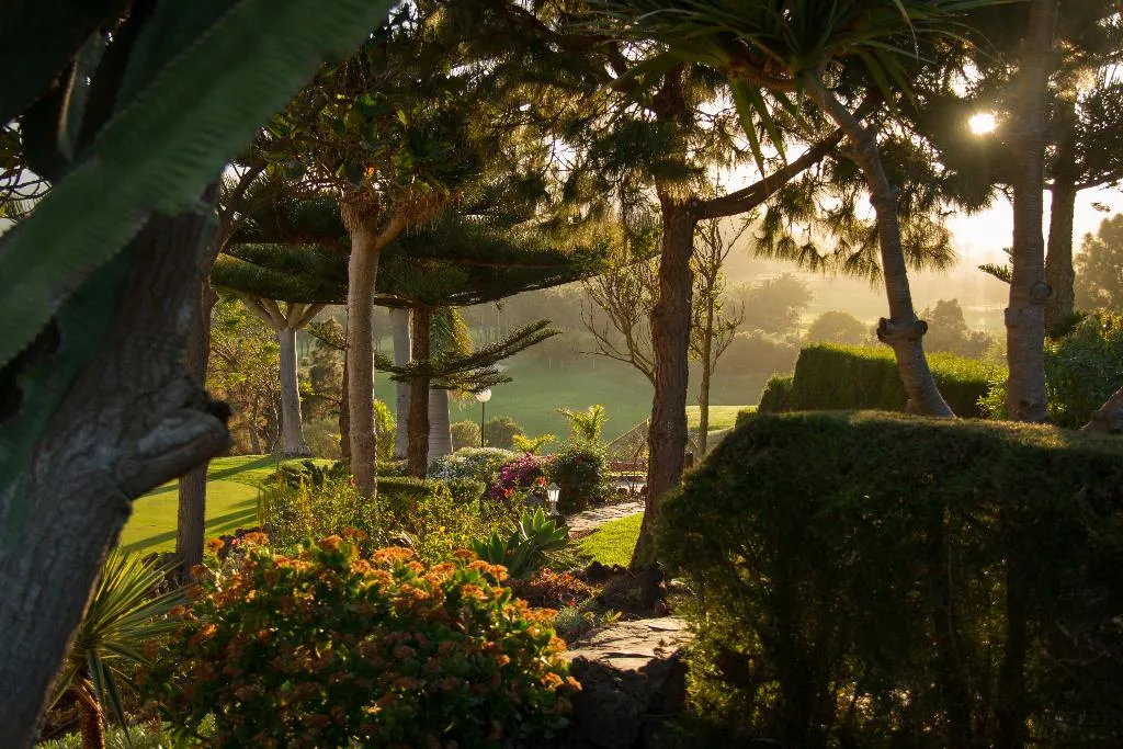 Terrace, Bandama Golf Hotel, Gran Canaria