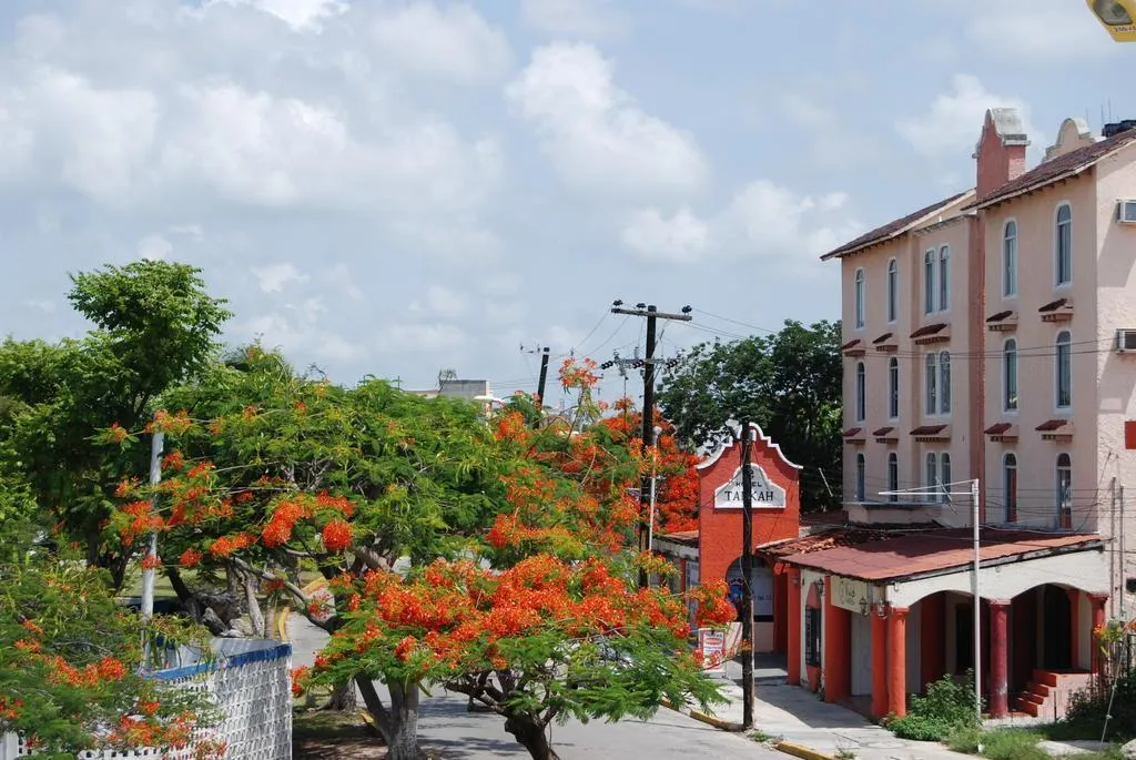 General view, Tankah, Cancun Area