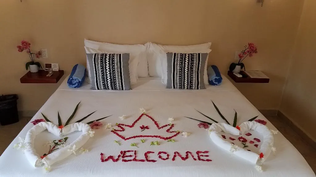 DOUBLE STANDARD Room, Moon Dreams Yum Balam, Cancun Area