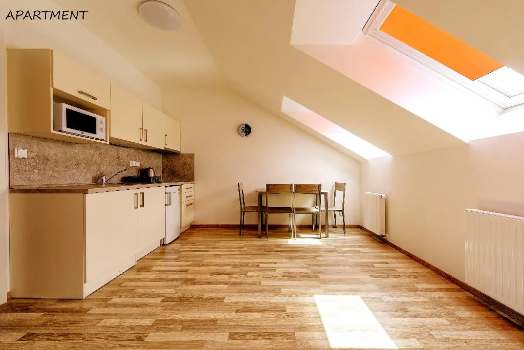 APARTMENT CAPACITY 4 ONE BEDROOM Room, Otakar, Prague