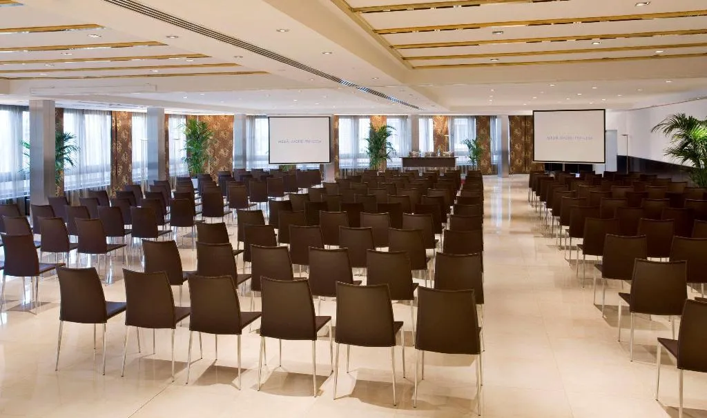 Conferences, Melia Madrid Princesa, Madrid