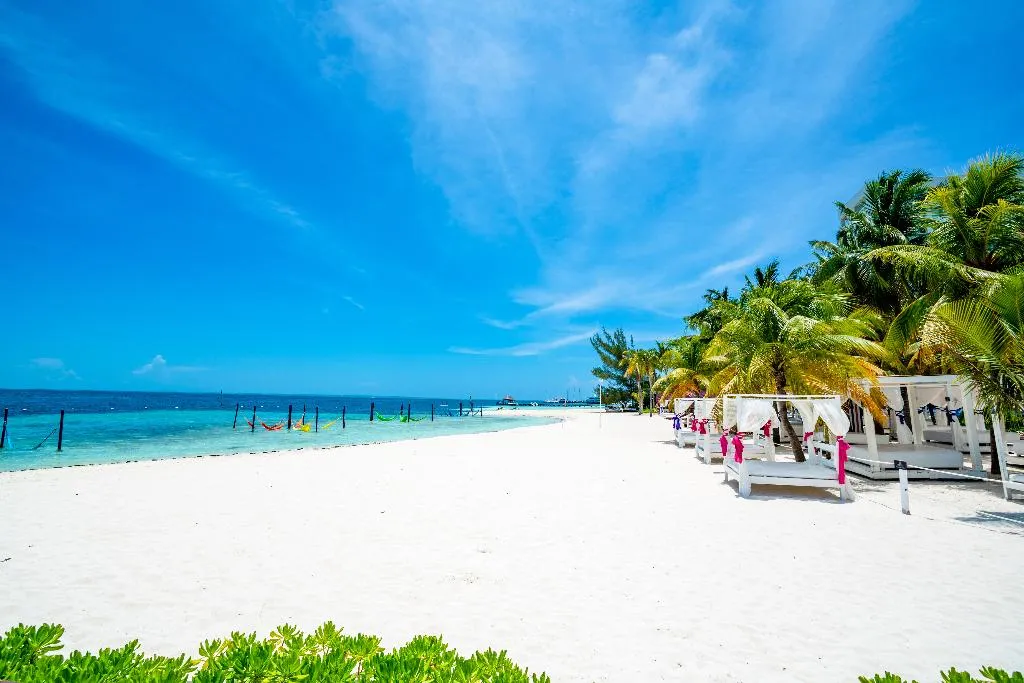 Beach, The Sens Cancun By Oasis, Cancun Area