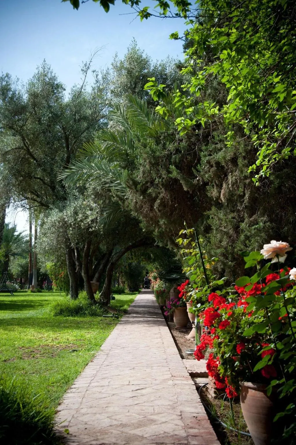 General view, Dar Ayniwen Garden Hotel & Bird Zoo, Marrakech