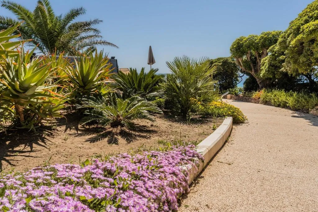 Terrace, Villa Mosca, Alghero