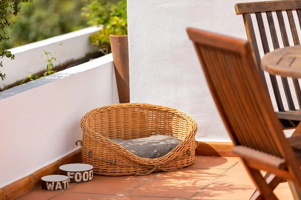 Terrace, Las Casas del Chorro, La Gomera
