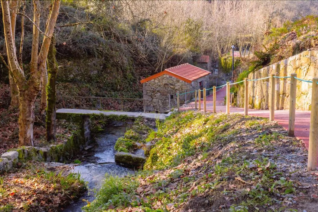 Sports and Entertainment, Peninsular, Porto