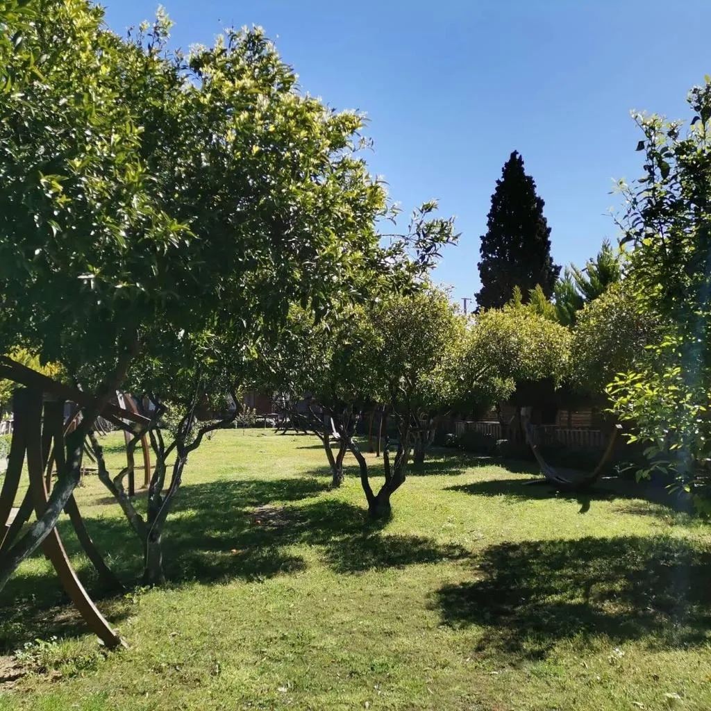 General view, Pitos Bungalows, Bodrum