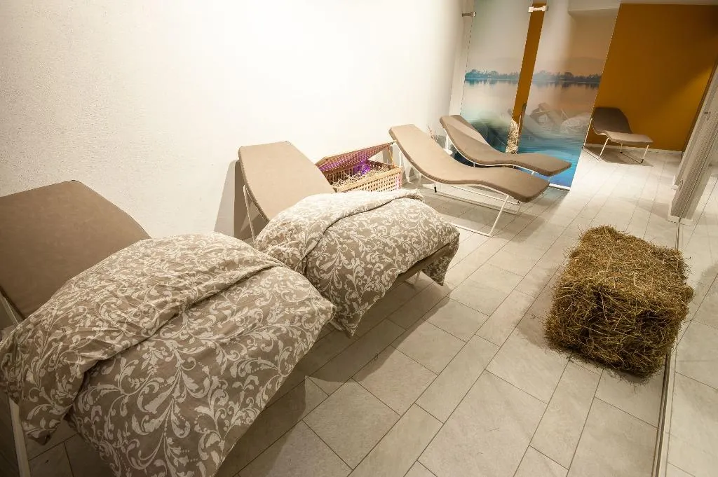 Sports and Entertainment, Hotel Horizon Wellness & Spa Resort, BW Signature, Milan