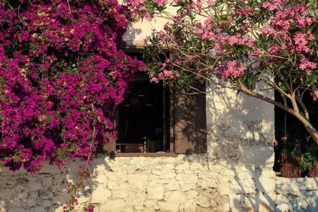 Lobby, Butterfly Valley Bungalov, Dalaman