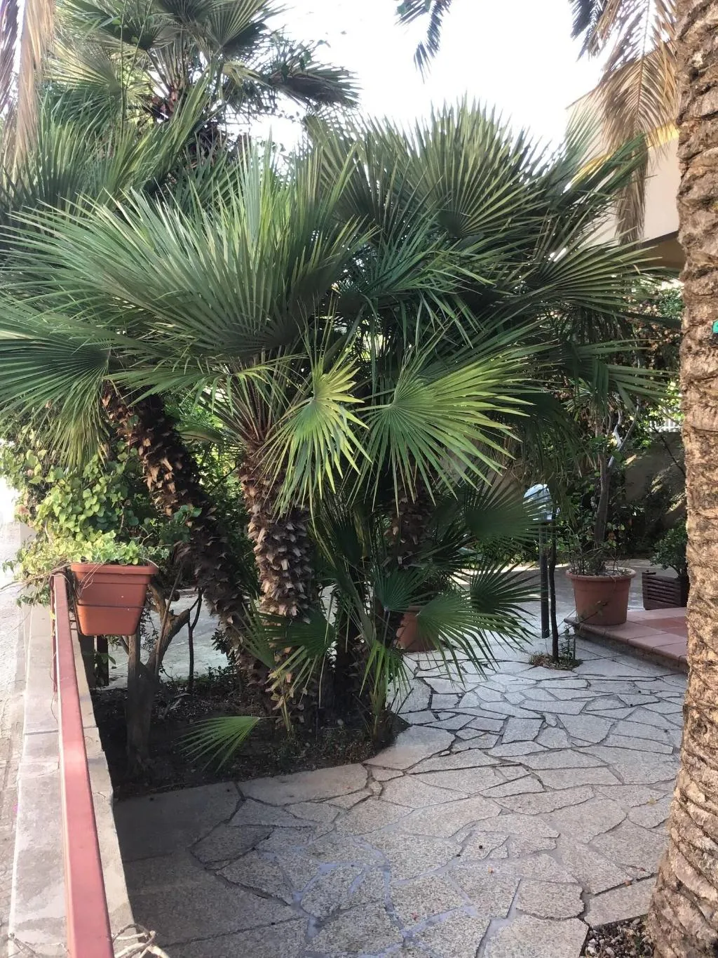 Terrace, Mistral, Alghero