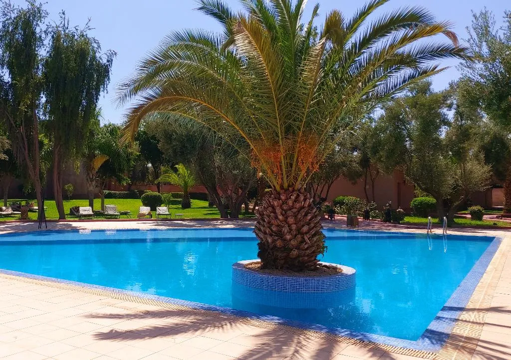 Pool, Riad La Maison des Oliviers, Marrakech
