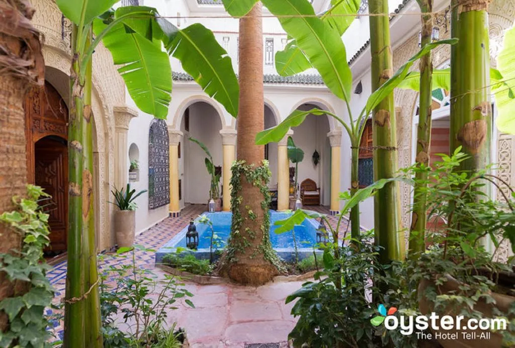 Pool, Riad Hotel Maison Arabo-Andalouse, Marrakech