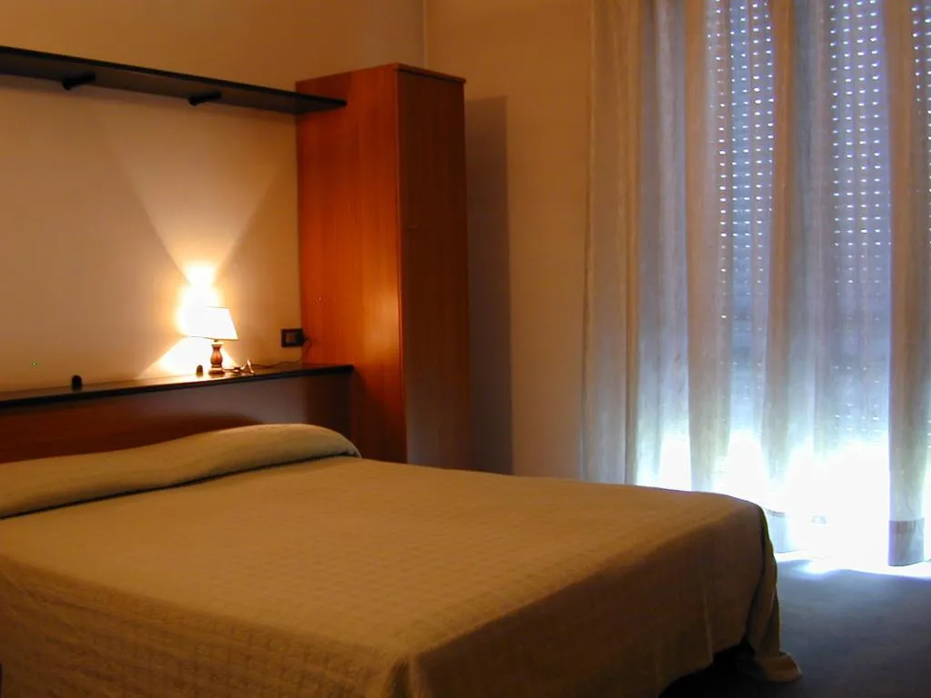 DOUBLE SINGLE USE STANDARD Room, Aer Hotel Malpensa, Milan