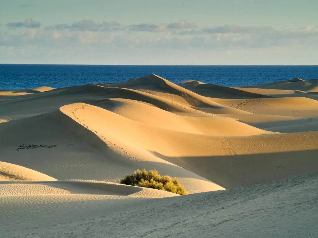 Beach, Vistaflor Bungalows, Gran Canaria