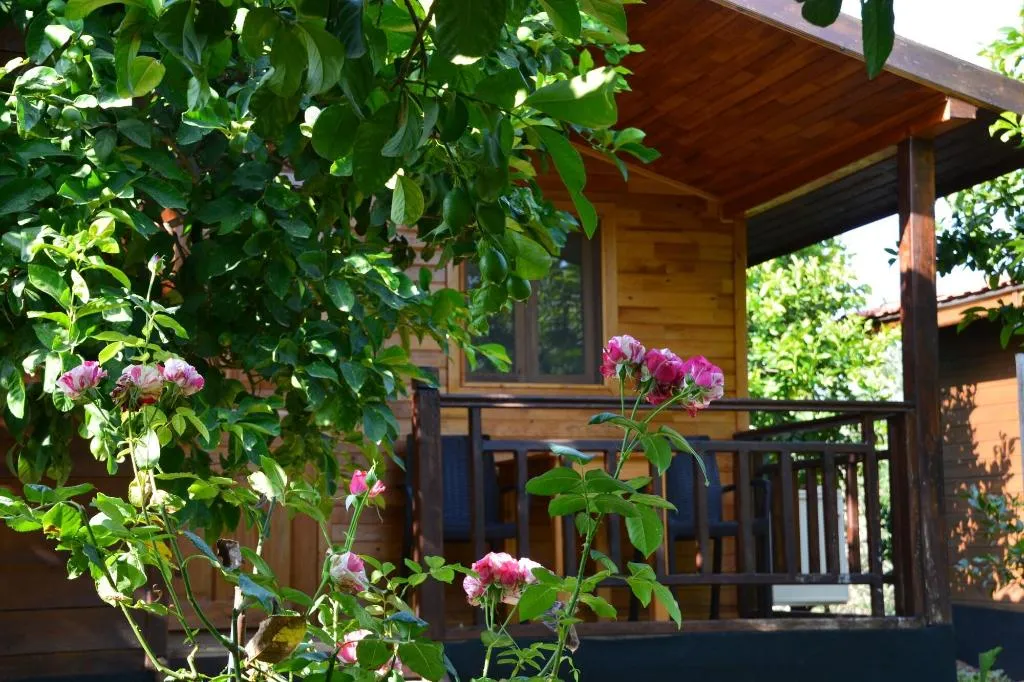 Terrace, Lemon Garden Lodge, Antalya