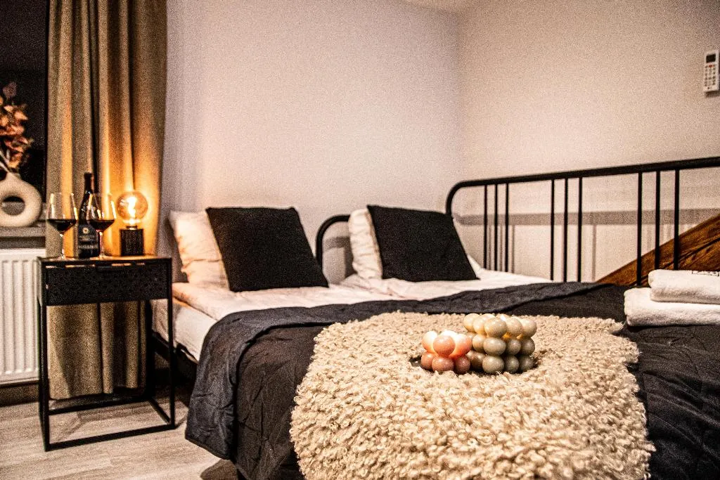 STUDIO STANDARD Room, Wine Apartments, Krakow