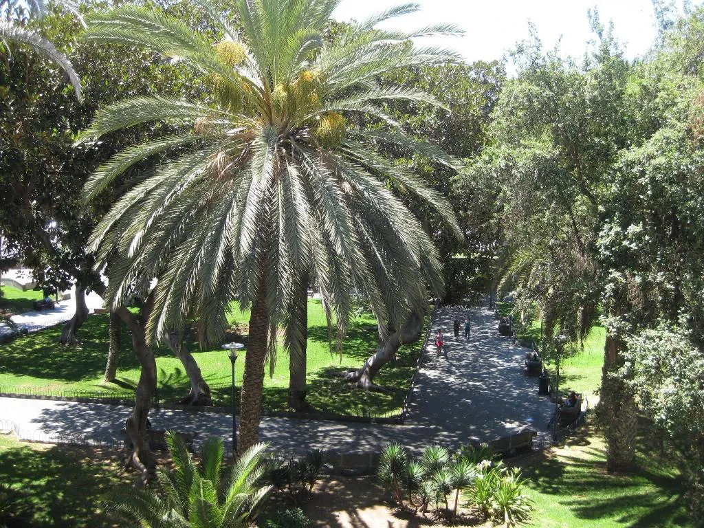 General view, Sercotel Parque Las Palmas, Gran Canaria