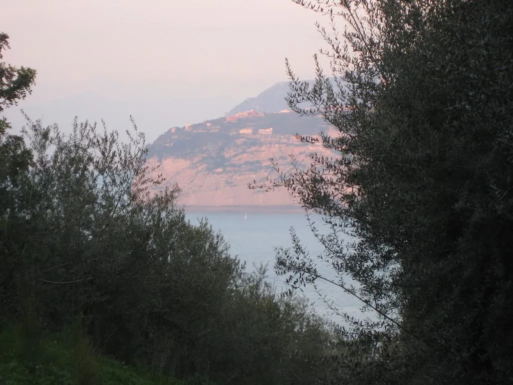 General view, Hotel Central, Naples