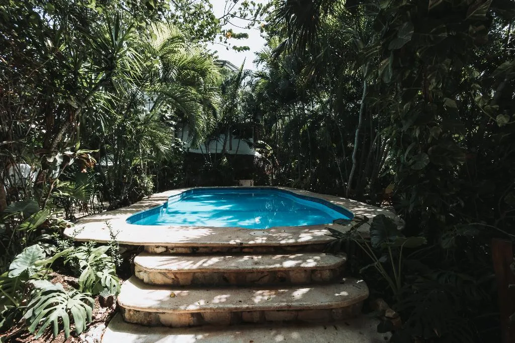 Pool, Hotel Casa Barbara Holbox, Cancun Area