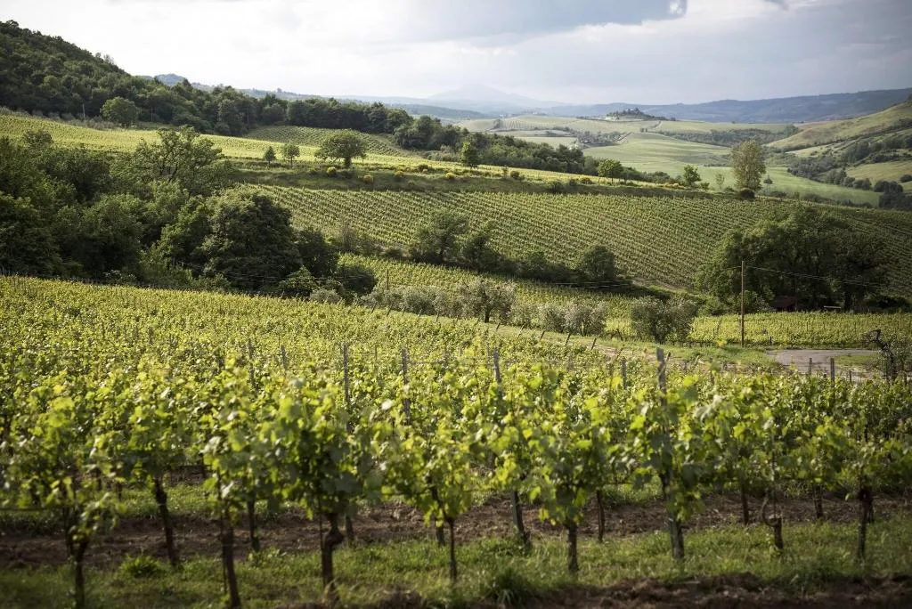 General view, Altarocca Wine Resort, Perugia