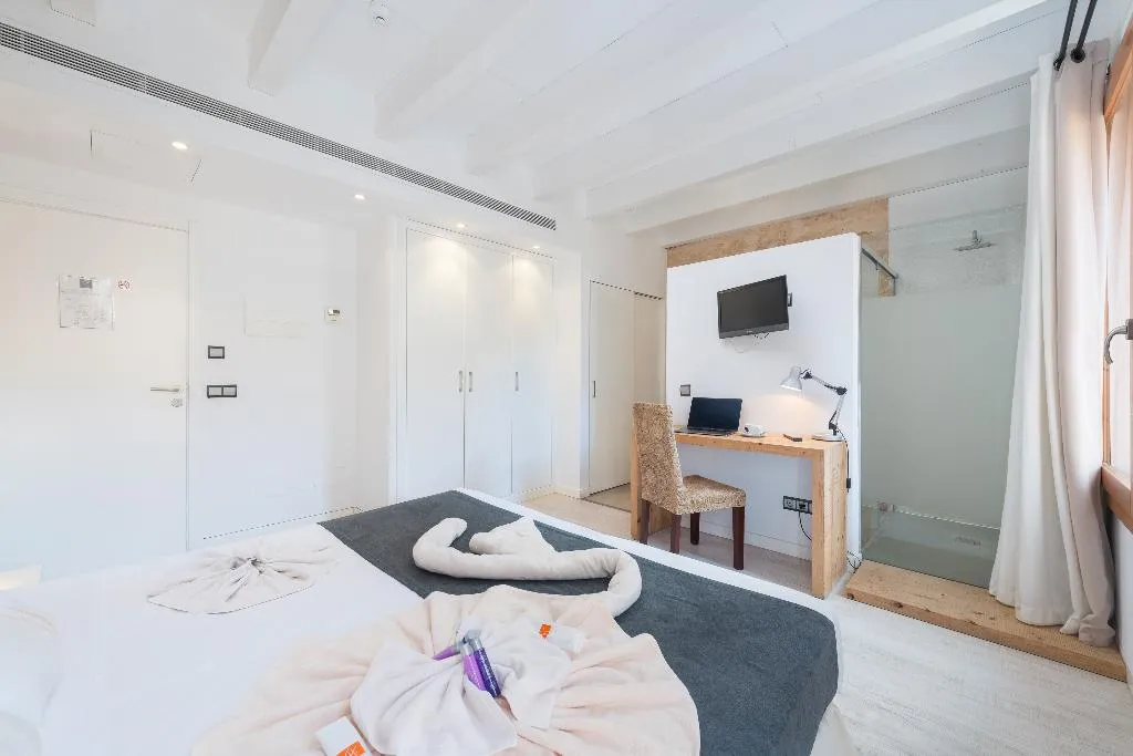 DOUBLE SINGLE USE STANDARD Room, Alcudia Petit, Majorca