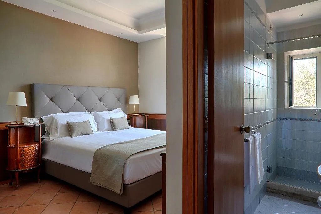 DOUBLE SINGLE USE STANDARD Room, Montespina Park Hotel, Naples