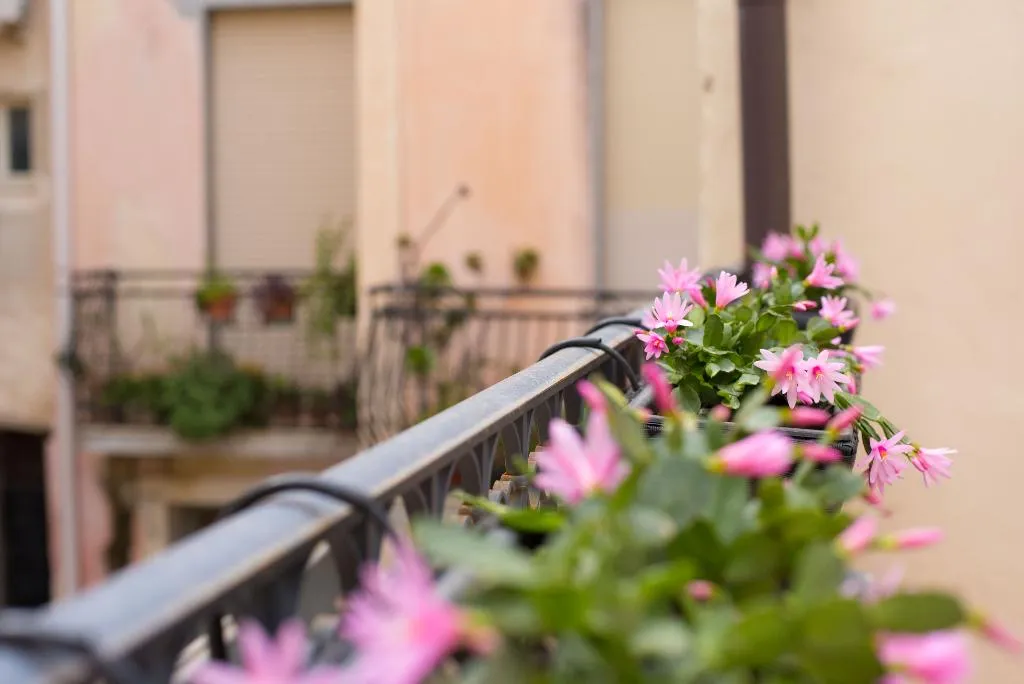Terrace, Dimore delle Zagare Ortigia, Catania