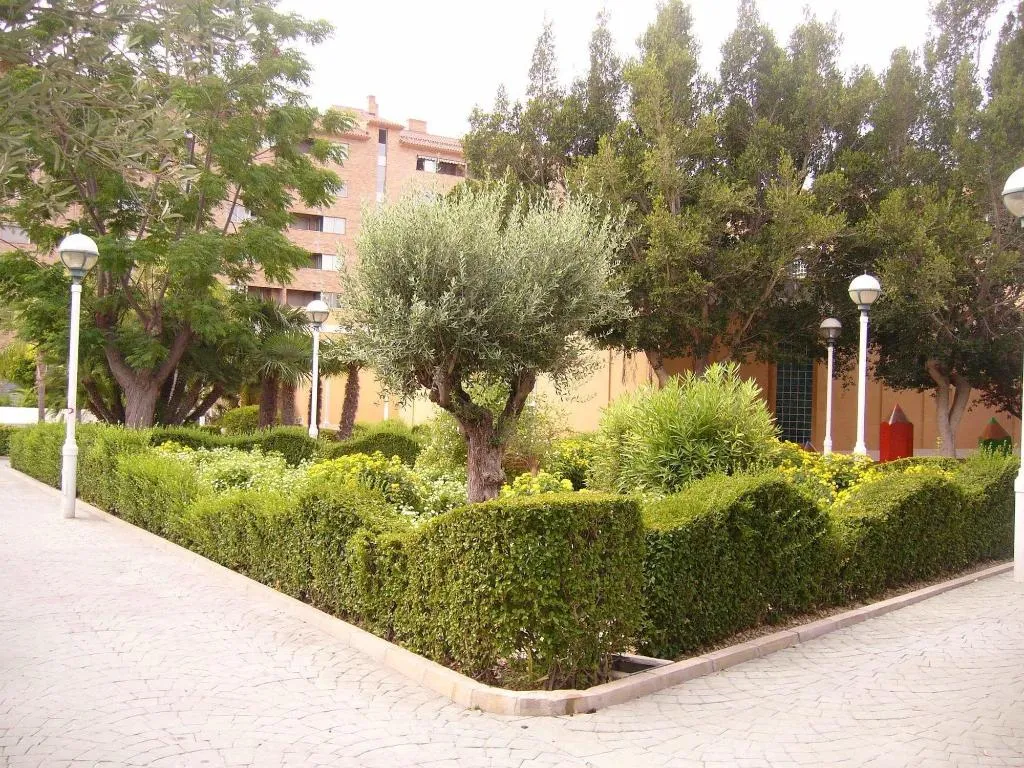Sports and Entertainment, El Artista de Paraíso, Costa Blanca