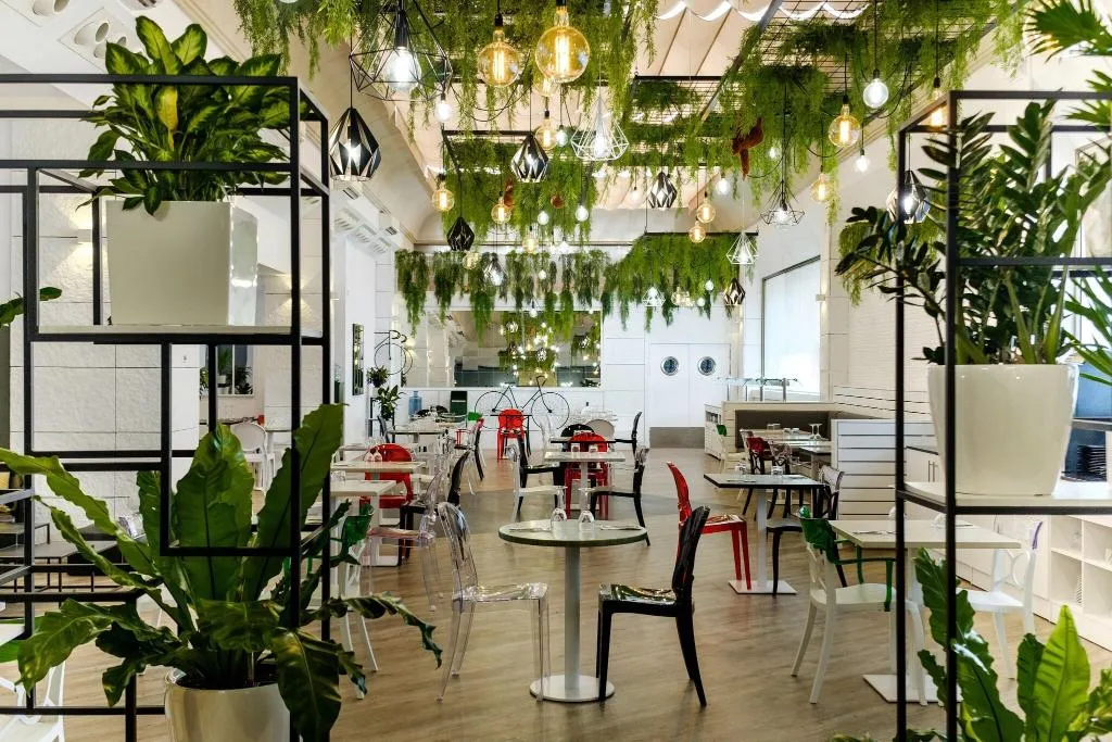 Restaurant, Clement Barajas, Madrid