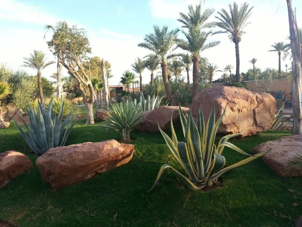 General view, Eden Lodges, Marrakech