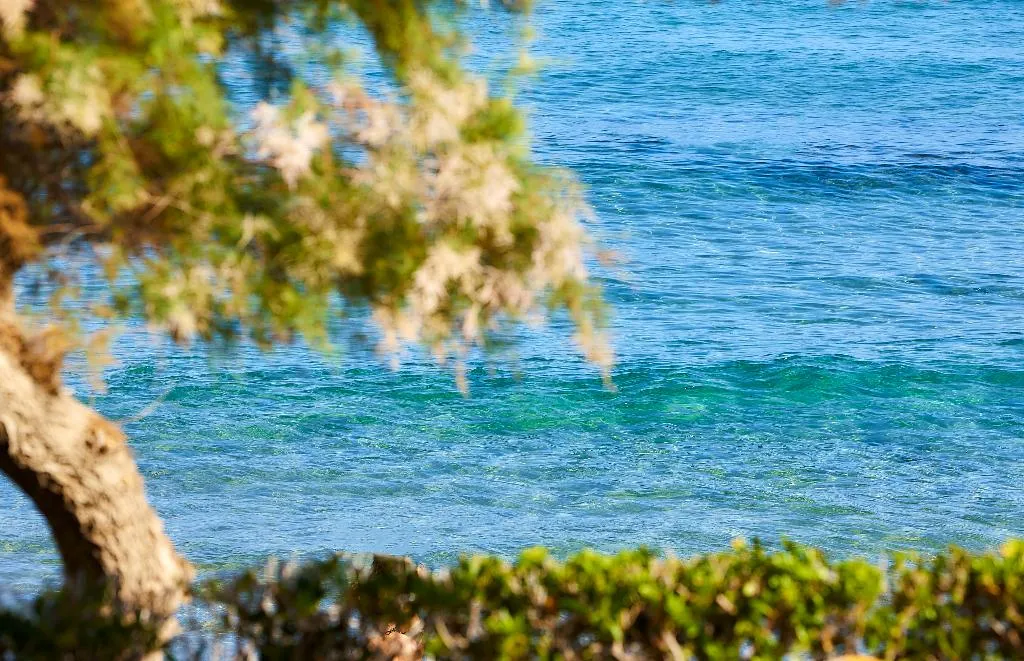 Double or Twin SEA VIEW Room, Alexander Beach Hotel & Village Resort, Crete