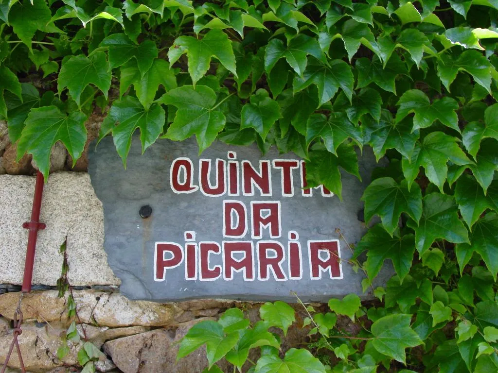 General view, Quinta Da Picaria, Porto