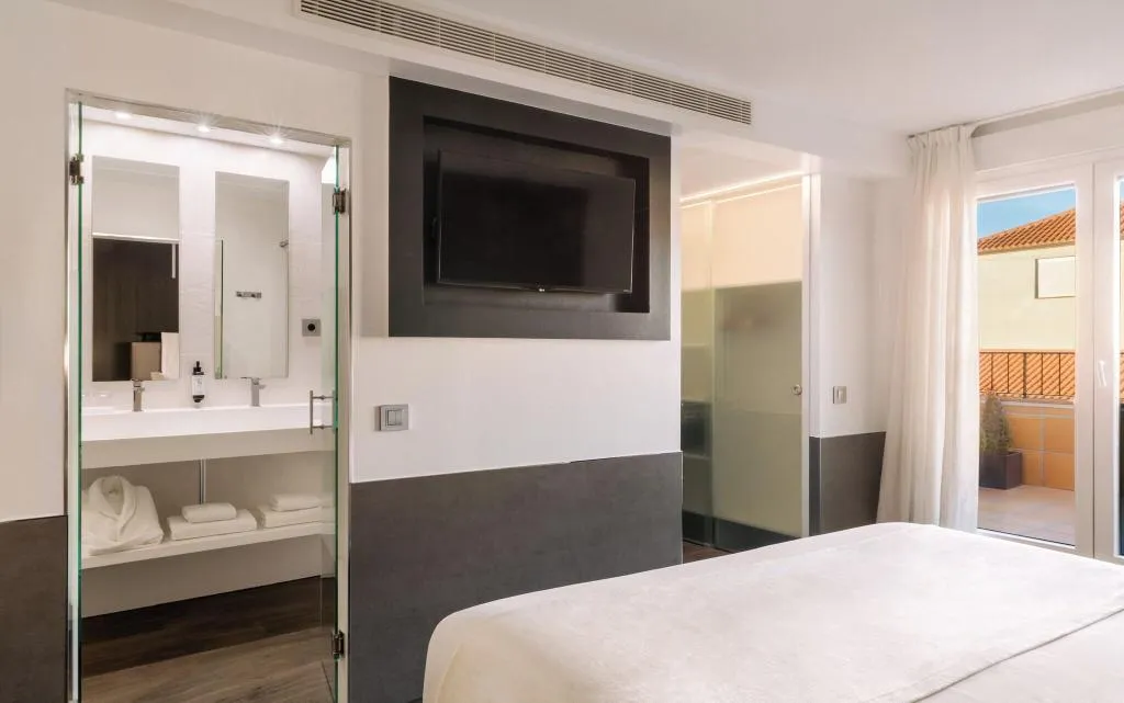 TWIN WITH TERRACE Room, Francisco I, Madrid