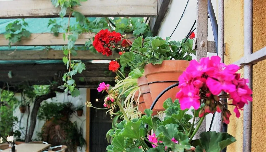 Terrace, Casona Granado, Andalucia