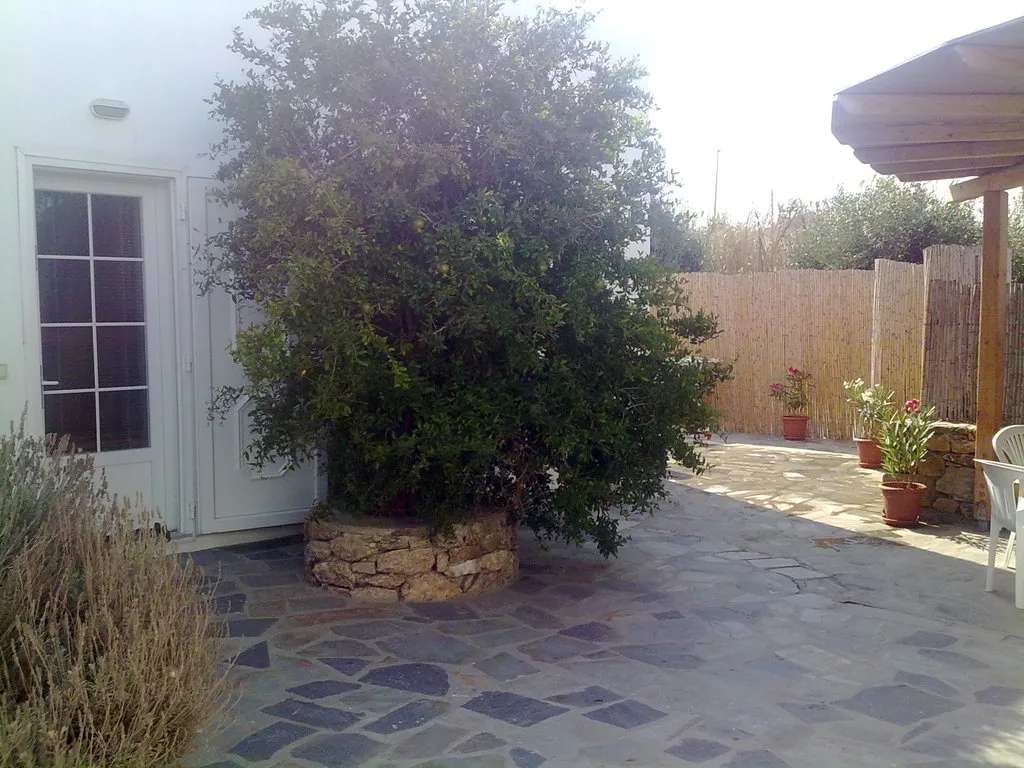 General view, Aphrodite Garden Studios & Olympia Anex, Mykonos