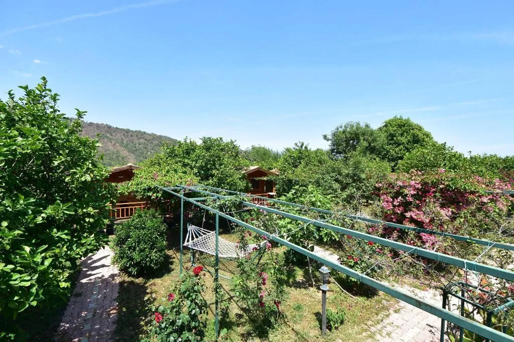 General view, Lemon Garden Lodge, Antalya