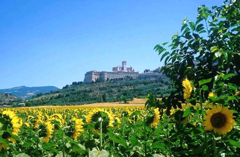 General view, Hotel Cristallo Assisi, Perugia