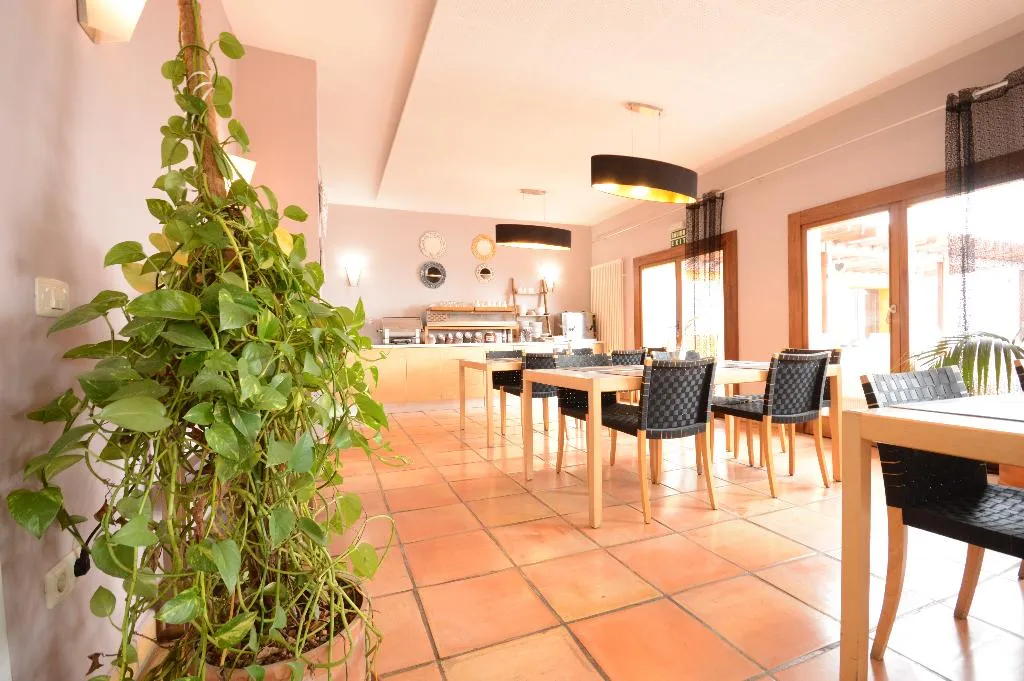 Bar, Alta Montaña, Tenerife