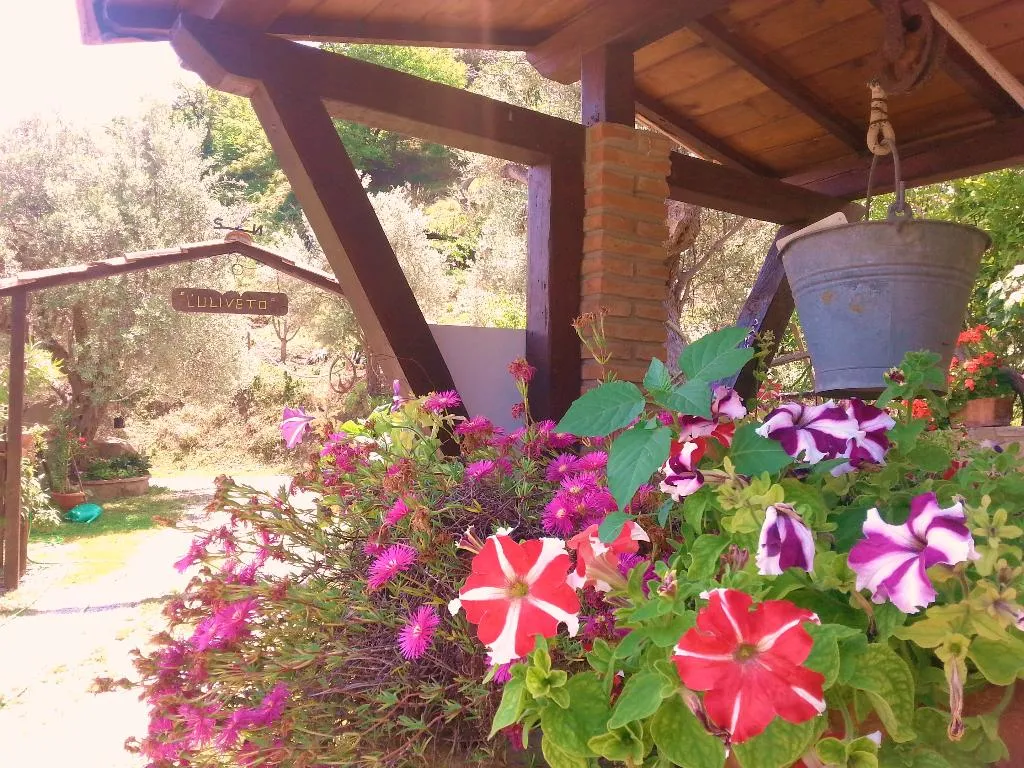 Lobby, Agriturismo L'Uliveto, Palermo
