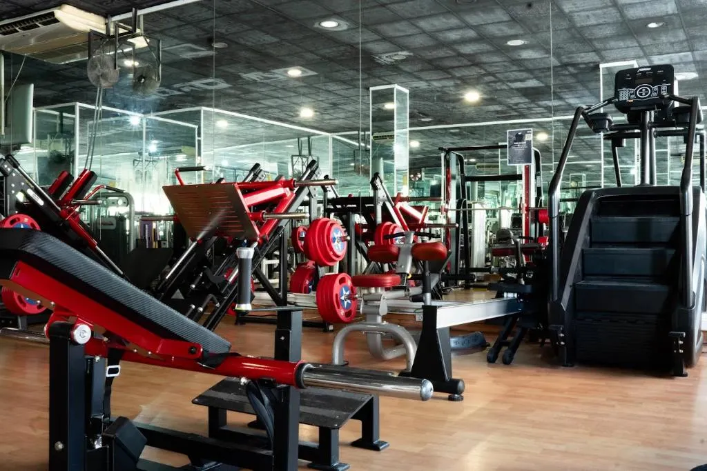 Sports and Entertainment, Magna Sevilla, Seville