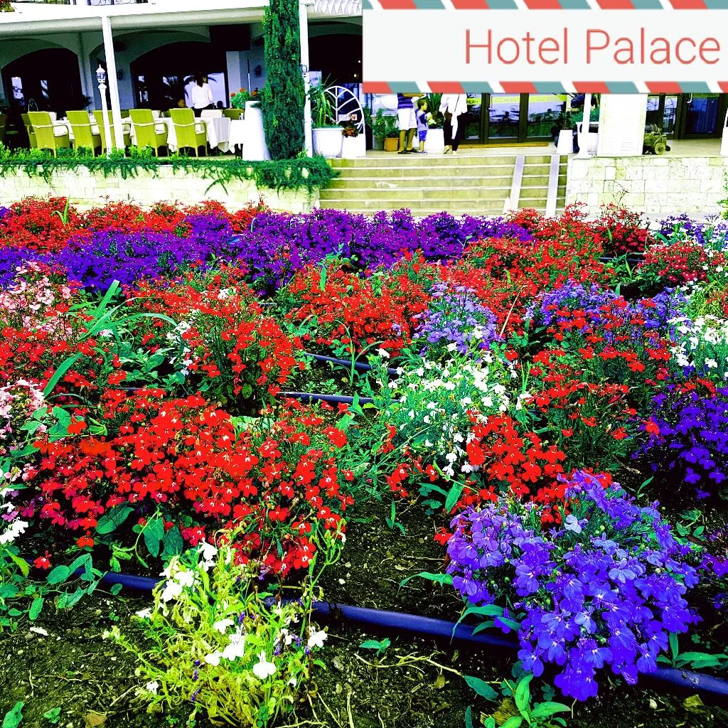General view, Hotel Palace Marina Dinevi, Bourgas