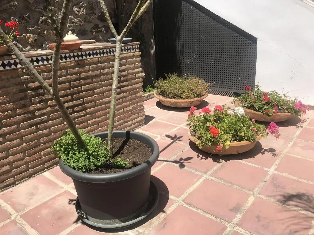 General view, Apartamentos Turisticos La Mundial, Costa Del Sol