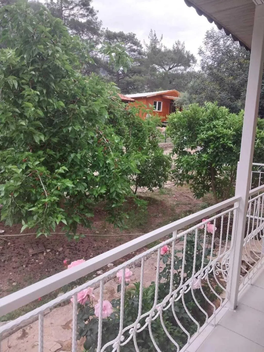 General view, Village Garden Pansiyon, Antalya