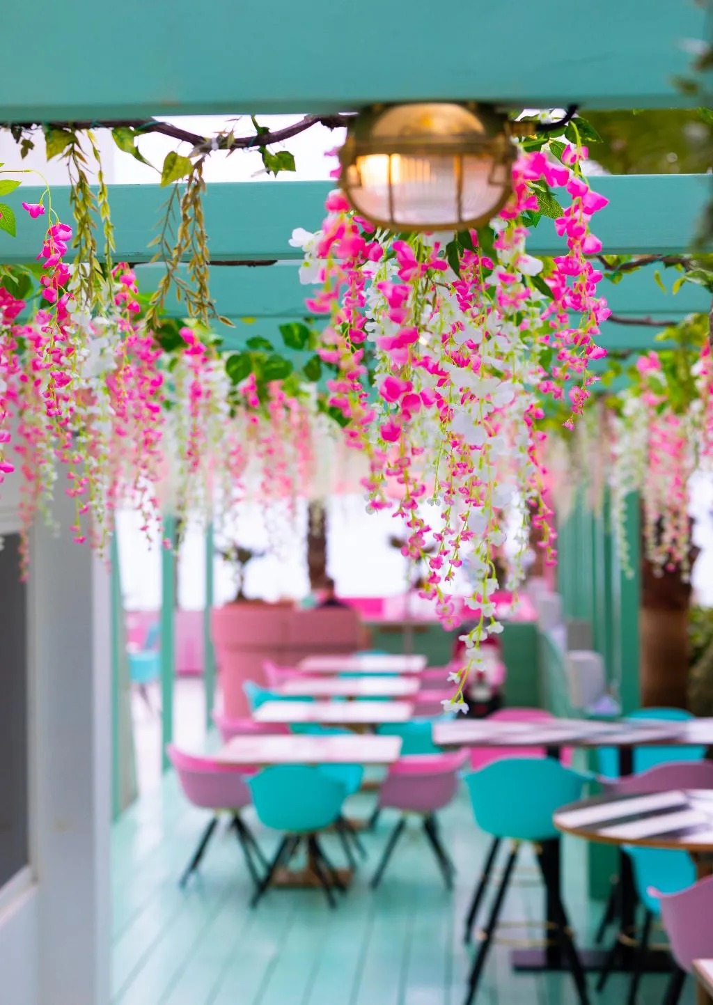 Restaurant, Wi-Ki-Woo, Ibiza