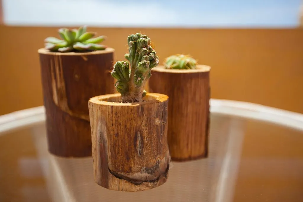 Terrace, Corallium Dunamar by Lopesan Hotels, Gran Canaria