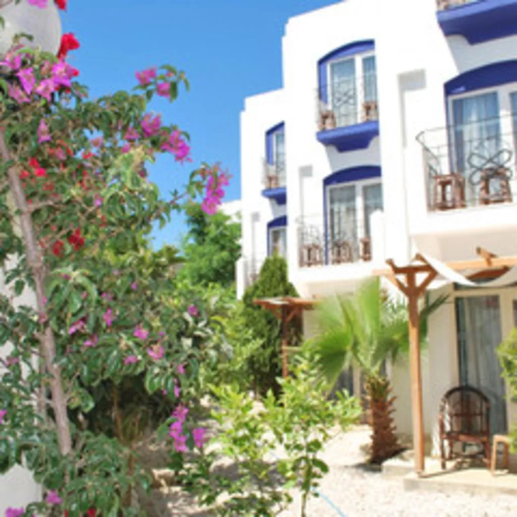 Room, Serpina Hotel, Bodrum