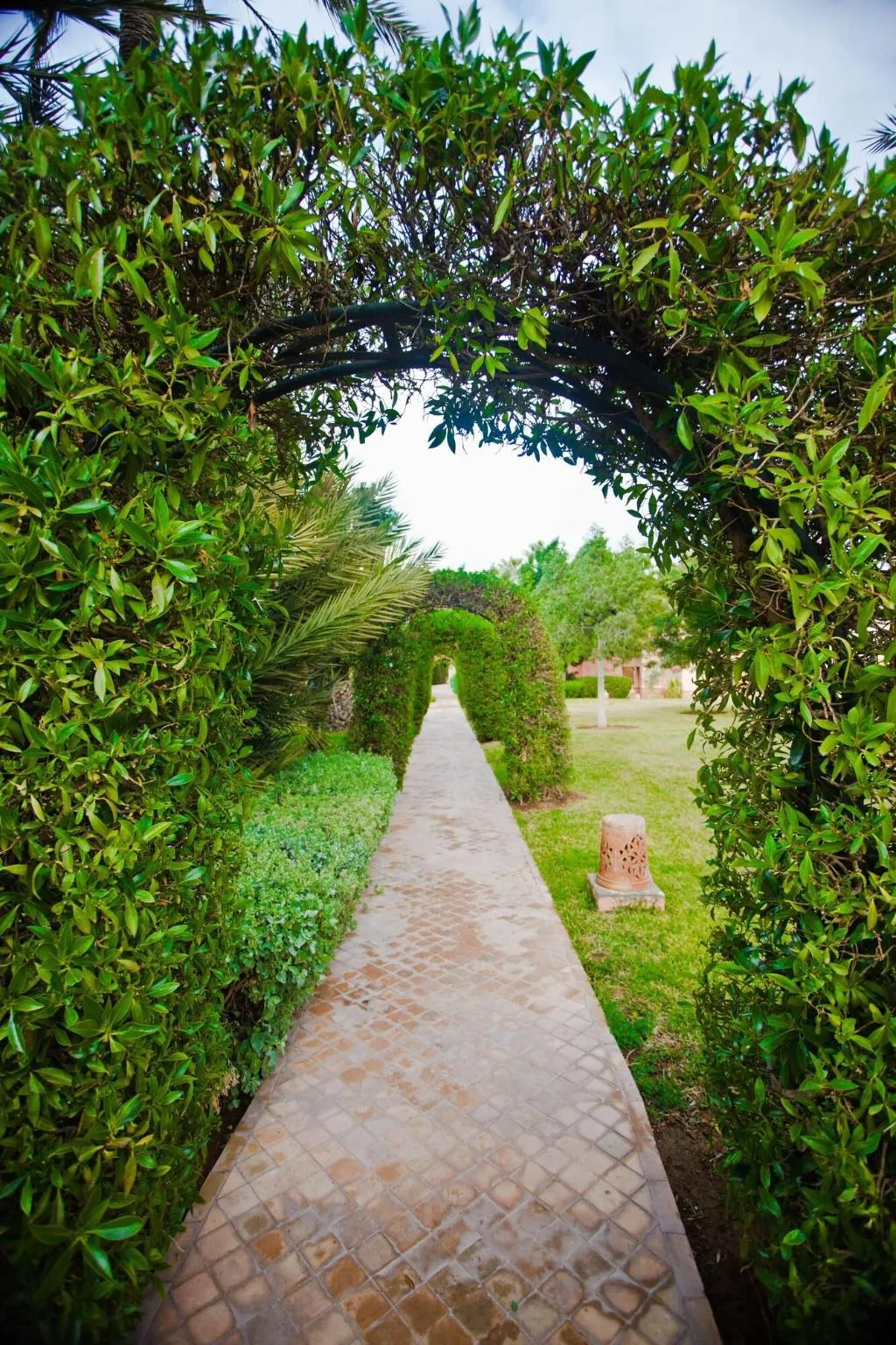 Terrace, Palais Mehdi, Marrakech
