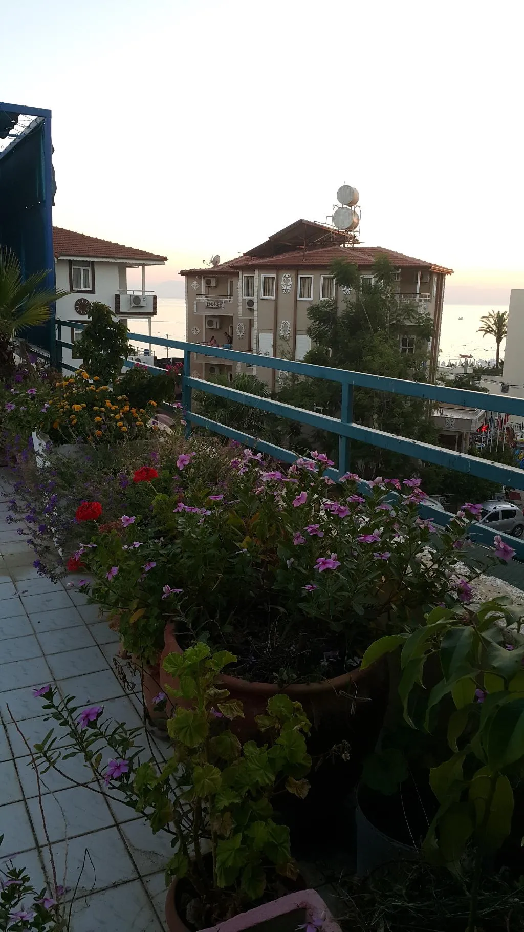 Terrace, Delphin Apart Hotel, Antalya
